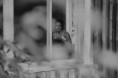 /album/odehuset/dsc-7114-webb-jpg/